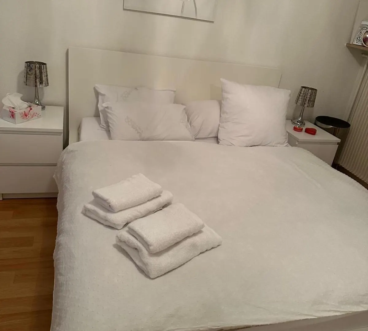 Schoene Suite In Der City Of Basel Apartment