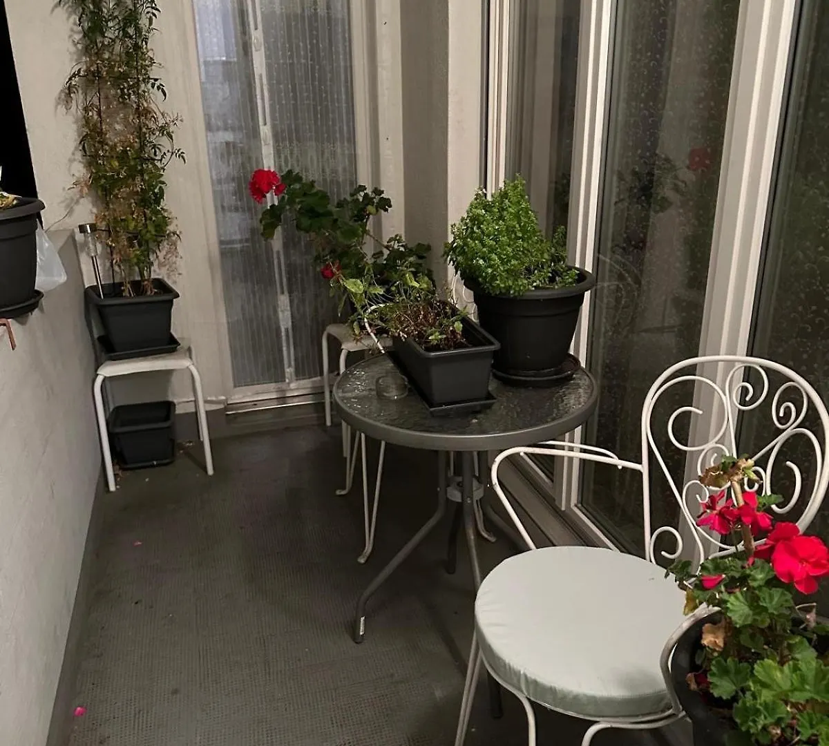 Apartment Schoene Suite In Der City Of Basel Switzerland
